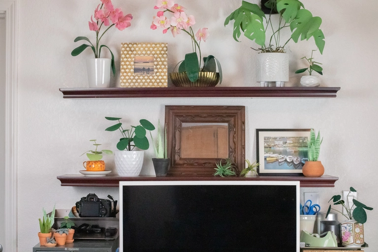 Desk view with lots of forever-plants.