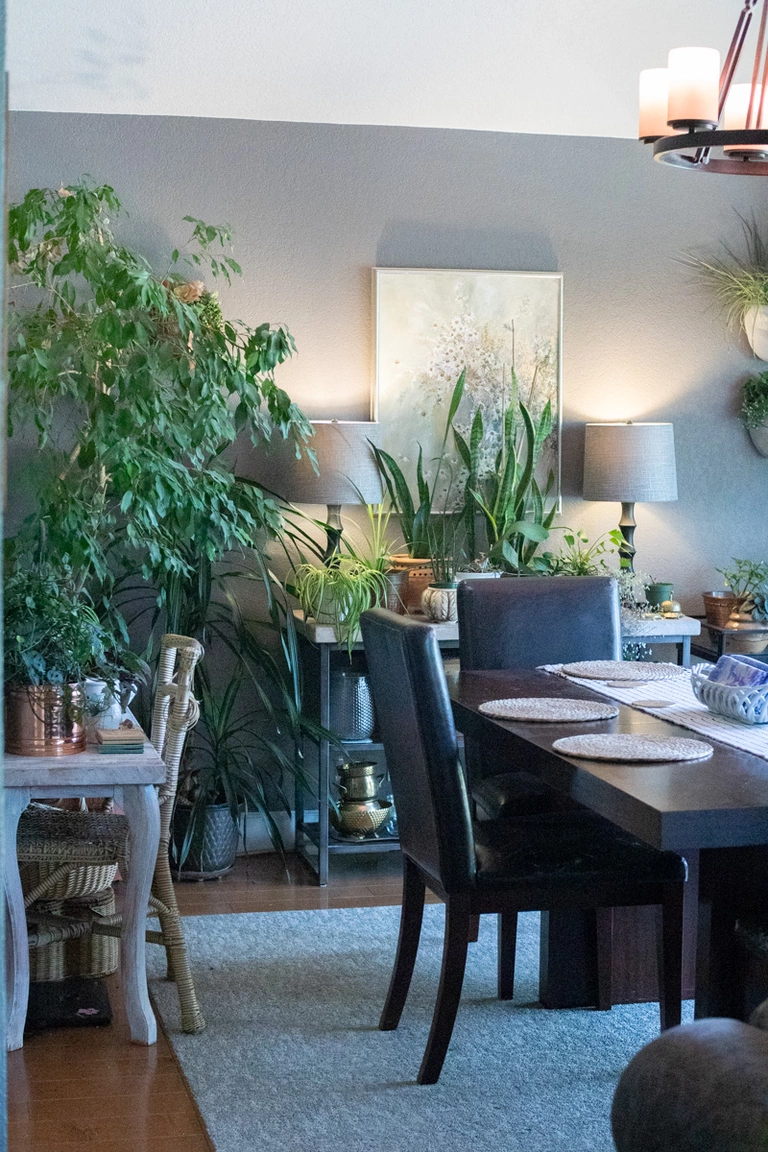 Our plant room, otherwise known as the dining room.