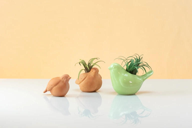 Air Forever-Plants in bird planters.