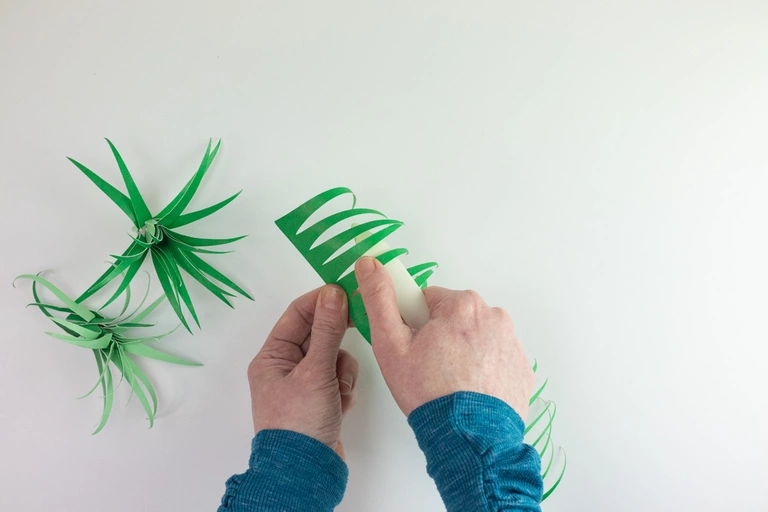 Shaping air plant leaves with a folding tool.