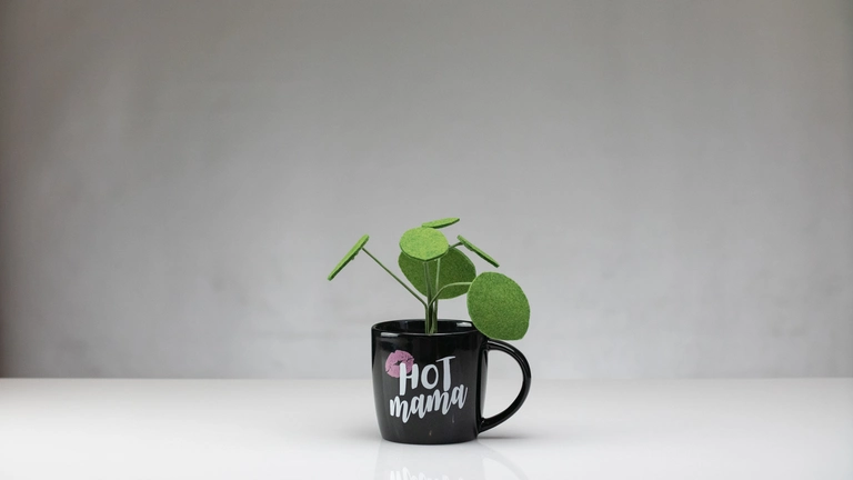  Friendship Plant in a personalized mug.