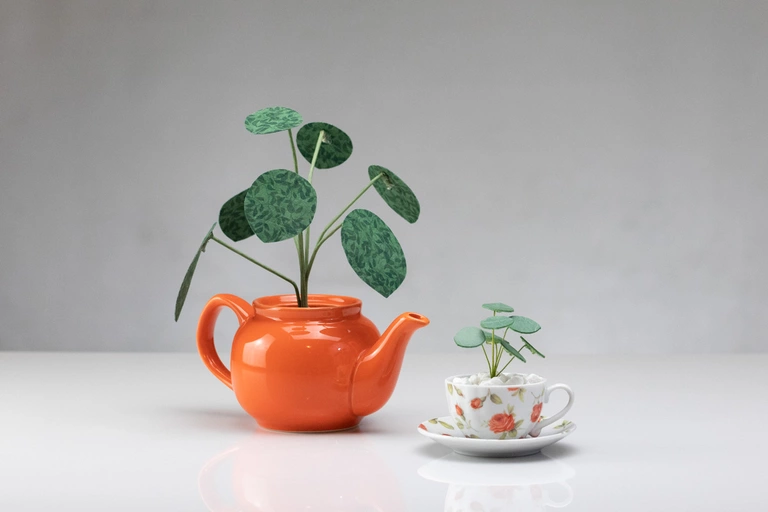 Teapot and tea cup planters.