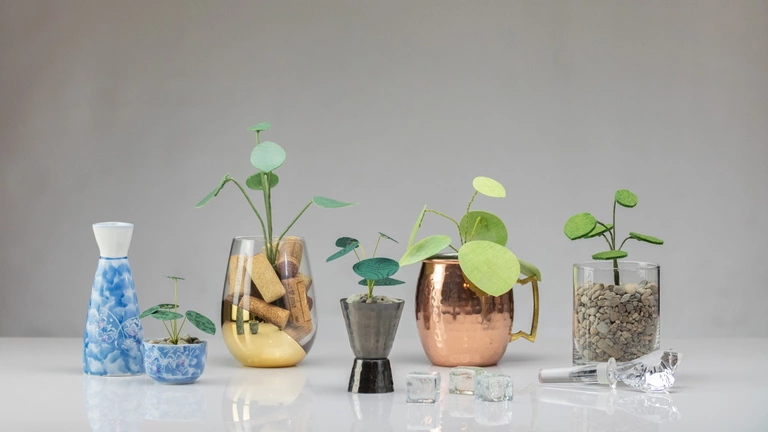 Cocktail glass planters.