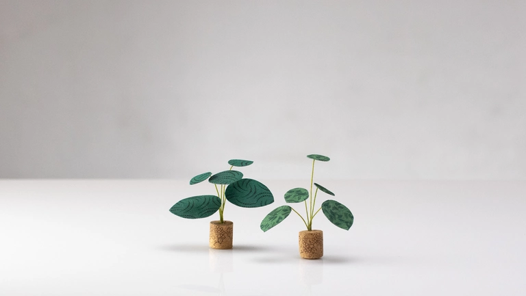 Friendship plant magnets in cork planters.