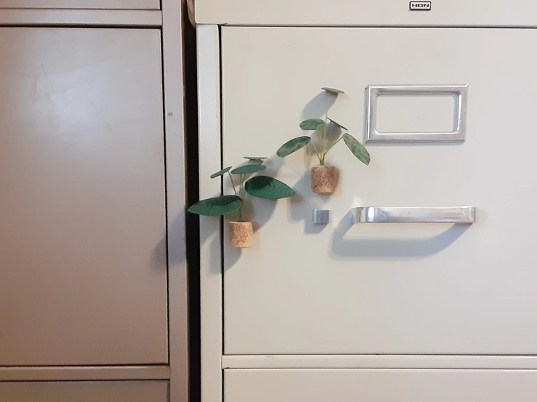 Plant magnets stuck on the filing cabinet.