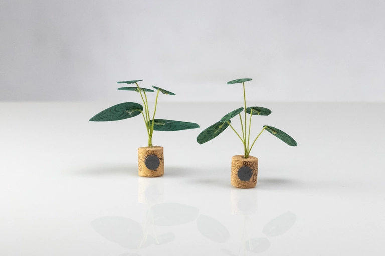 Mini Friendship Forever-Plants with magnets glued to the back.