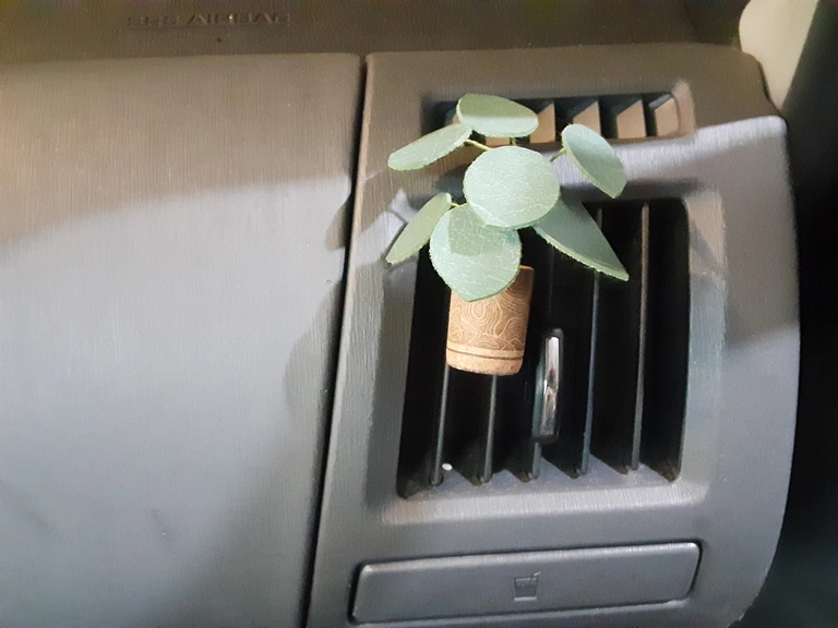 Mini Forever-Plant car clip.