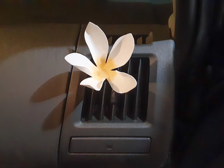 Plumeria vent clip and air freshener.