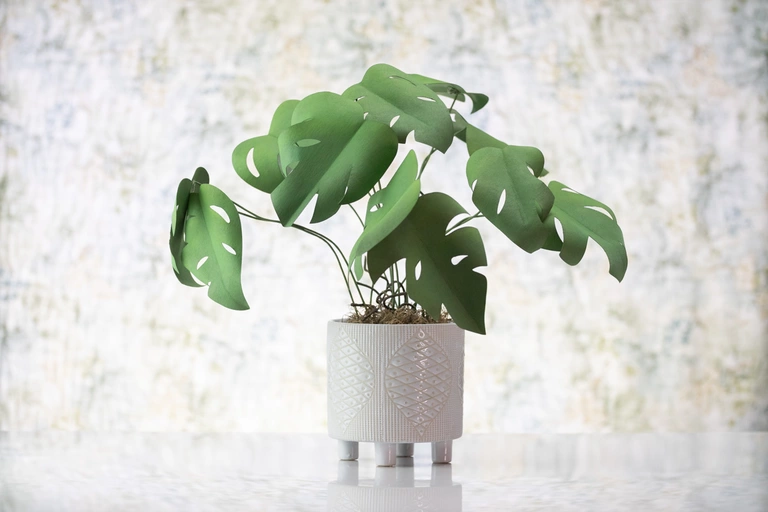 Handmade Monstera Forever-Plant.