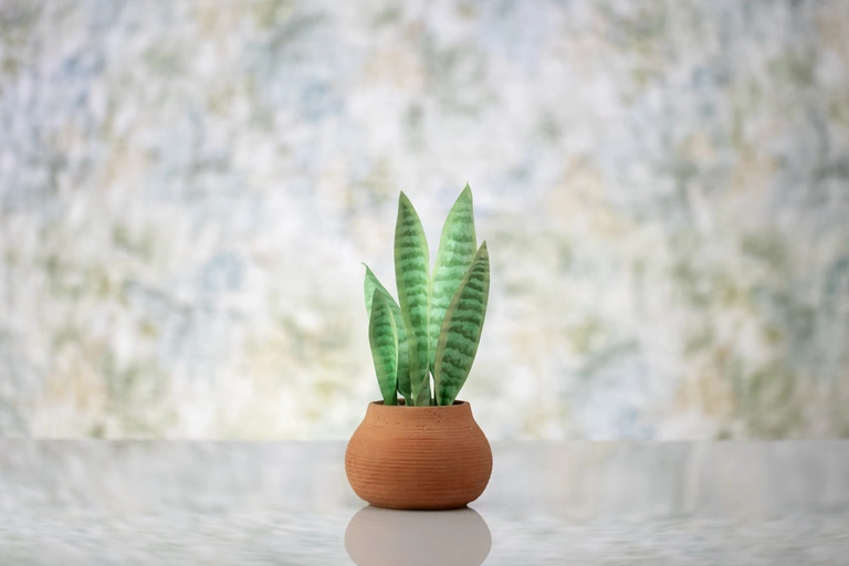 Yes! This is a handmade fake plant. You are going to love our desk-sized Snake Forever-Plant.